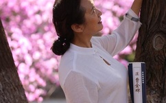 波多野结衣全集qvod